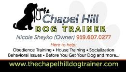 Dog Training has to start in your own home