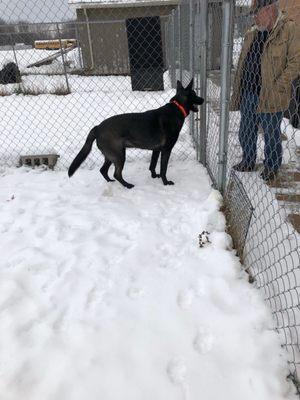 Oconto Area Humane Society