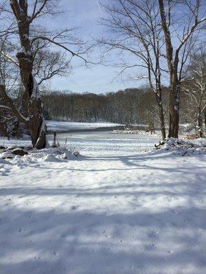 One of several ponds at Deer Pond Farm