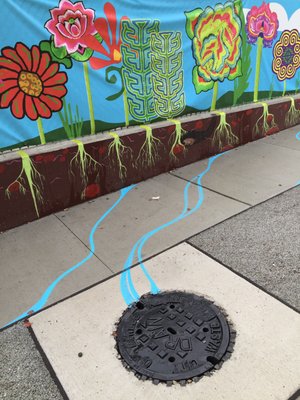 Murals that highlight the storm water function