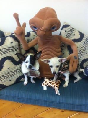 ET protecting Angel & Skippy