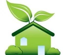 Go green with eco cleaning!