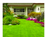 All Around Landscaping Services