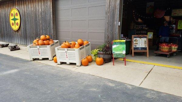 Bring your kids for the corn maze!