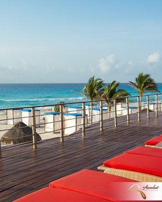 At Sunset Royal, located in the heart of Cancun, you will fall for the warm sunshine and beautiful palm trees!