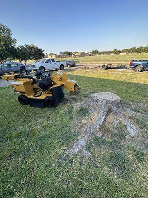 Customer got the tree cut down but stump was left out. Called us to get the rest of it gone