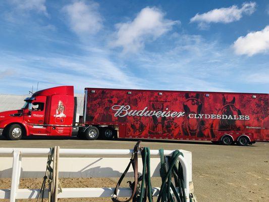 Last, but not least, the Budweiser truck.