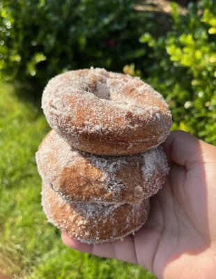 Apple cider donuts