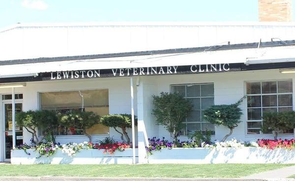 Lewiston Veterinary Clinic