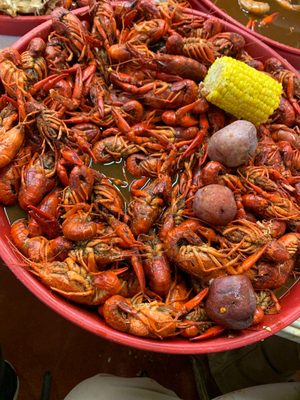 Crawfish Kings