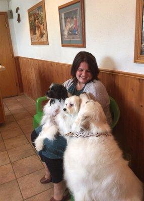 Oliver, Baxter and Athena are all regulars at the Honey Lane Pet Services Salon!