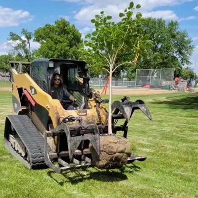 Planting trees in a city park