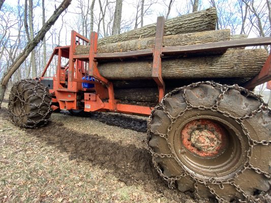 Palmer Horse Logging