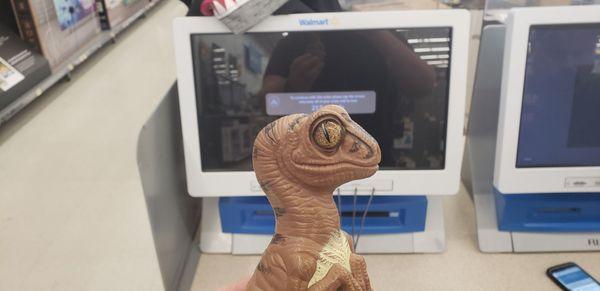 Bob the Raptor says "You print your pictures on this machine!"