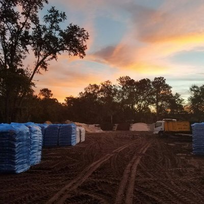 Morning at the nursery