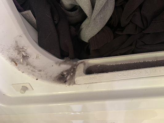 dryer will leave lint on your clothes even with cleaning the trap every time