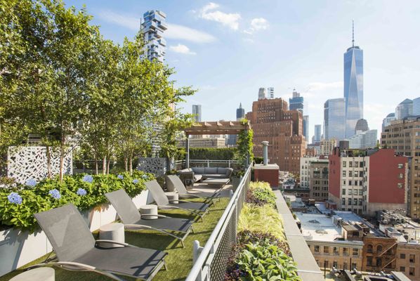 Tribeca Common Roof