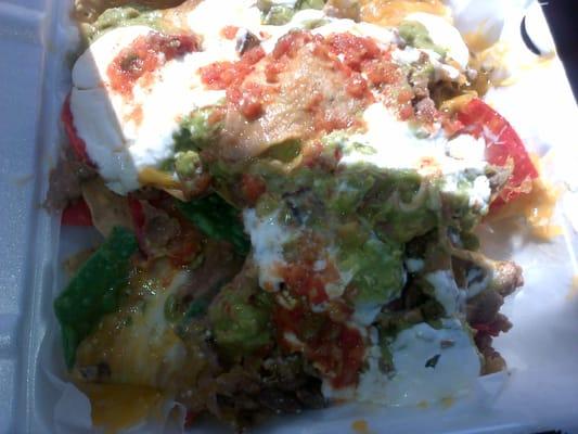 Carne asada nachos with salsa on them ... Bomb !