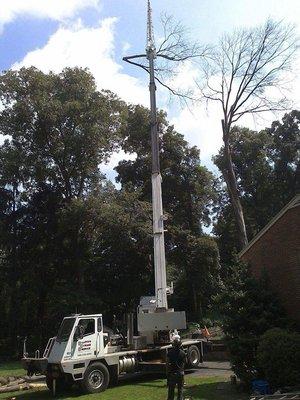 This picture is from a tree removal using our trusty crane guy