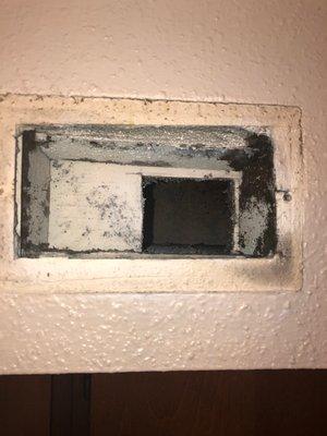 Mold in air duct