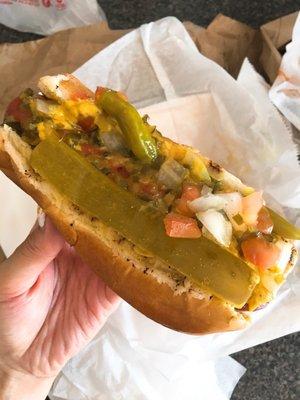 Chi-town Dog with Fries