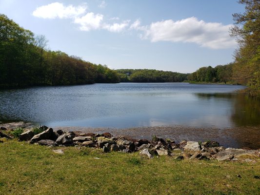 Don't forget to pop off the trail to check out the lake - BEWARE duck poop.