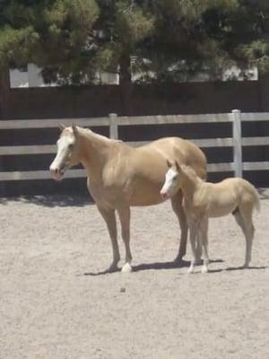 Pretty mom and baby