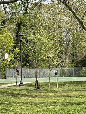 Basketball Court