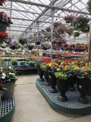 From flowers(annuals, perennials), plants, trees, shrubs, aquatics, fish, fountains, furniture, decor, vegetables, fruits, to landscapes