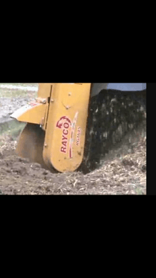 D-Stump Removal