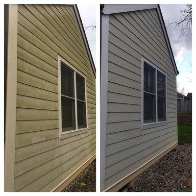 Before and after; siding (mildew)