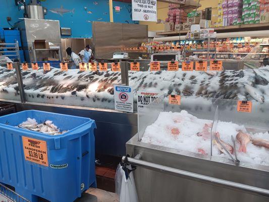 Fresh fish galore!