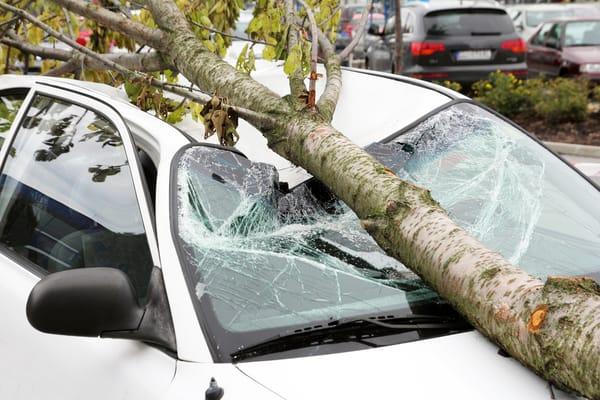 Accurate Auto Glass of America San Jose CA Broken Windshield