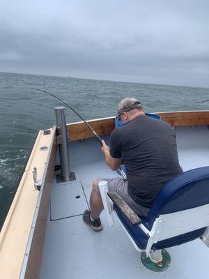 Working hard. Triple bluefish on an umbrella rig