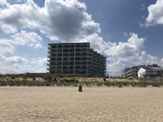 The Summer Beach from the beach