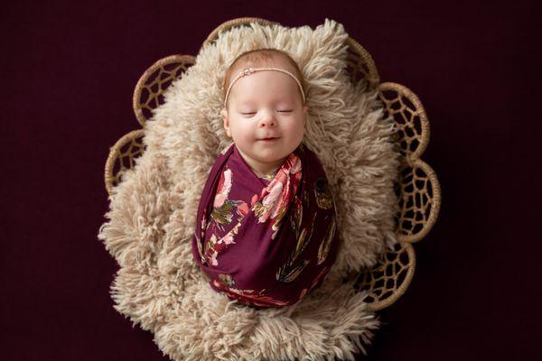 Newborn Portrait Session