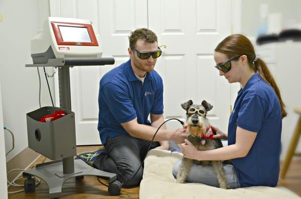 Class IV Companion Laser Therapy