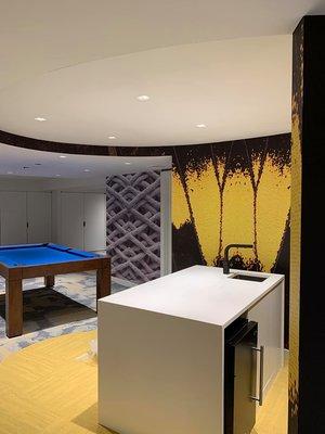 Basement gut Remodel