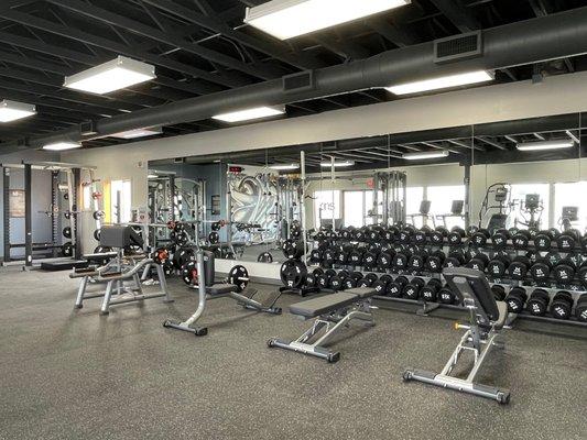 View of dumbbell wall