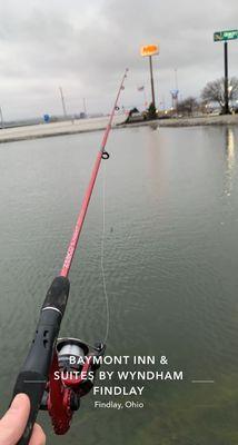 The fishing rod I was lended to try my luck.