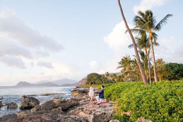 Proposal Photography