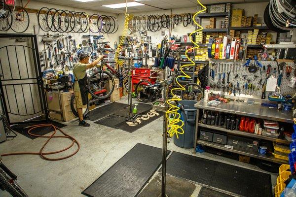 Bike Back Shop