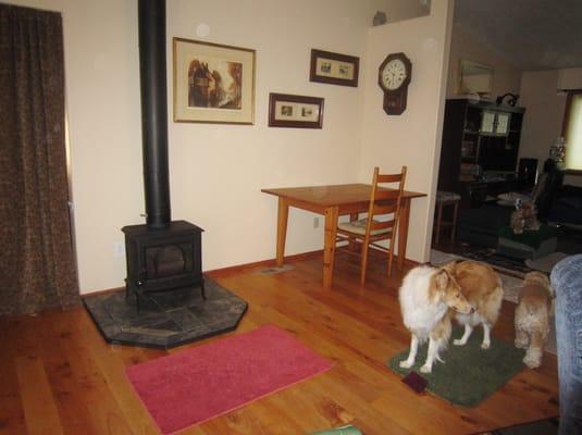 And our collie Breezy and cocker spaniel Lucy slowly making her way to the stove. No worries, no fire in it yet!