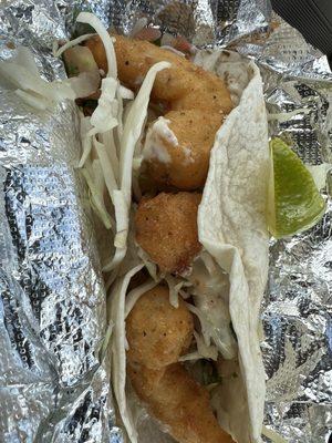 Jumbo shrimp taco. Not so jumbo, more like large.