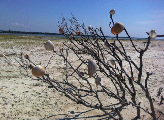 Carrot Island, Beaufort, NC