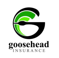 Goosehead Insurance