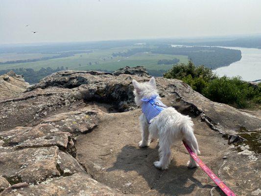 View of the Arkansas River from the Stout's Point overlook at the East end of Petit Jean Mountain