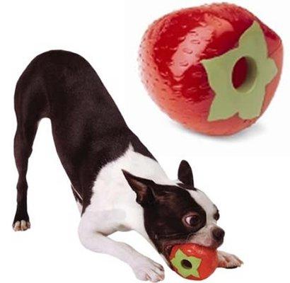 Pet Toys