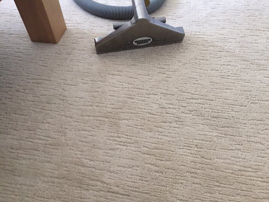 Berber Carpet cleaned