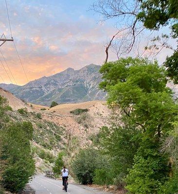 Provo River Trail